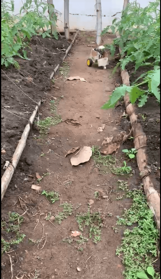 FarmCam  Remote Monitoring Robot